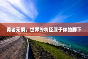 勇者无惧，世界终将臣服于你的脚下