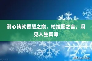 耐心铸就智慧之巅，柏拉图之言，洞见人生真谛