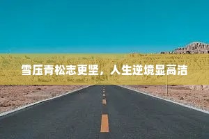 雪压青松志更坚，人生逆境显高洁