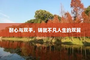 耐心与双手，铸就不凡人生的双翼
