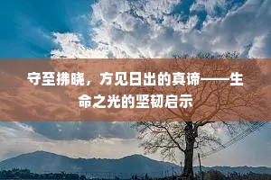 守至拂晓，方见日出的真谛——生命之光的坚韧启示