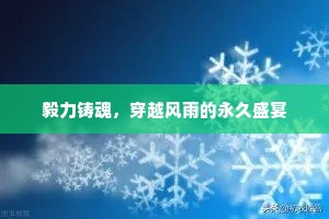毅力铸魂，穿越风雨的永久盛宴