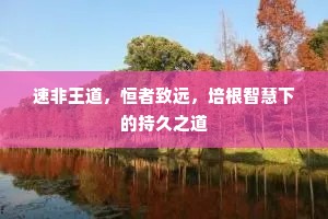 速非王道，恒者致远，培根智慧下的持久之道