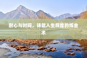耐心与时间，铸就人生辉煌的炼金术