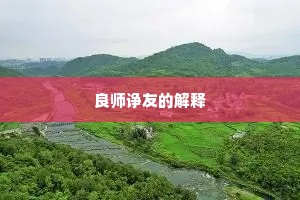 良师诤友的解释