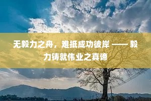 无毅力之舟，难抵成功彼岸 —— 毅力铸就伟业之真谛