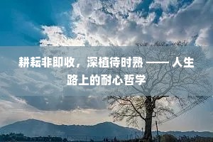 耕耘非即收，深植待时熟 —— 人生路上的耐心哲学