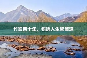 竹影四十年，悟透人生繁简道
