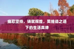 痛忍坚持，铸就辉煌，奥维德之语下的生活真谛