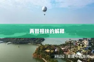 两瞽相扶的解释