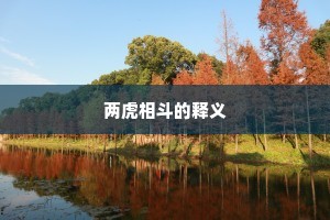 两虎相斗的释义