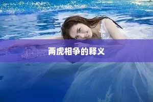 两虎相争的释义