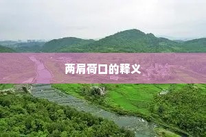 两肩荷口的释义