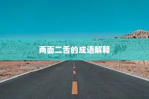 两面二舌的成语解释