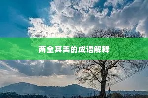 两全其美的成语解释