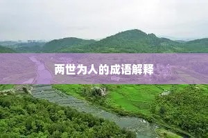 两世为人的成语解释