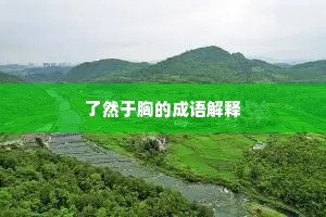 了然于胸的成语解释