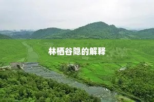 林栖谷隐的解释