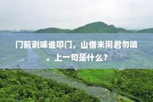 春雨洒，春雨洒，周南一望堪泪下。的释义