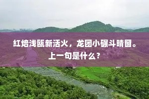 此是西国那提子，示寂不起现神通。全诗是什么？