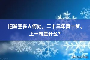 公才公望成语的释义