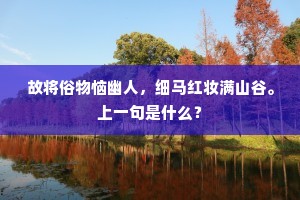 人人来问此中妙，怀素自云初不知。的解释