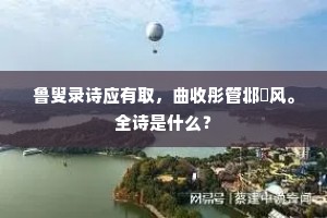 大地沉浮谁作主，诗人歌哭缘何罪。全诗是什么？
