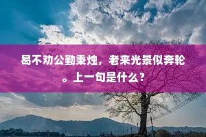 相呼蜜语话当年，那堪电讣来天半。全诗是什么？