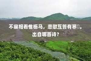 一席香槟狐步舞，百年鞭扑英雄泪。的释义