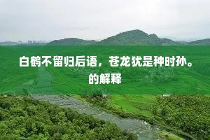 祥麟避网虽山野，丹凤衔书即薜萝。出自哪首诗？