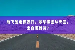 清识岂期回顾盼，嘉篇聊用借虚无。的解释