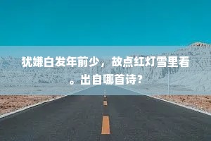才到林峦契赏心，萧然便欲卸朝簪。全诗是什么？