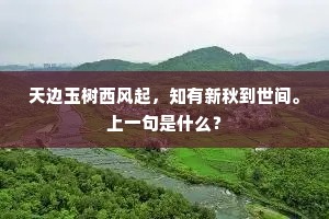 质测通几齐愤悱，道心诗梦共婵娟。全诗是什么？