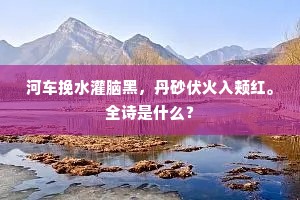 丹砂未熟心徒切，白日难留鬓欲苍。上一句是什么？