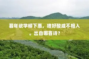 才到林峦契赏心，萧然便欲卸朝簪。全诗是什么？