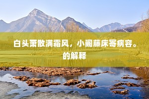 阴阳鼎上先光彩，铅花炉里考三才。出自哪首诗？