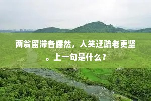 彩云裾兮流霞袂，倏而来兮忽而逝。上一句是什么？