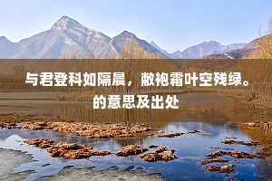 离情祇向天边碎，壮志还随行处伤。出自哪首诗？