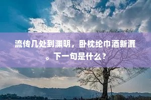 风光若此人不醉，参差辜负东园花。上一句是什么？