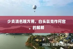 如今小儿新长成，明年闻道又征兵。的意思及出处