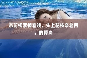 安边自合有长策，何必流离中国人。的解释