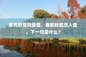 自恨不如湘浦雁，春来即是北归时。上一句是什么？
