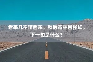 瓜字初分成语的释义