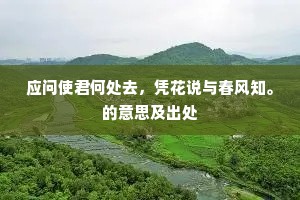 寡不敌众成语的释义