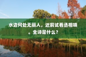 寡不胜众成语的解释