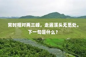从来征战皆空地，徒使骄矜掩异方。的解释