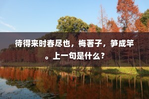 老夫三日门前立，珠箔银屏昼不开。的释义