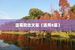 情感语录治愈系口播文案（通用40句）