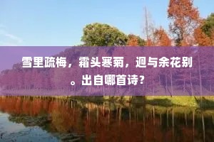 观衅伺隙成语的拼音