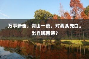 光彩溢目成语的解释